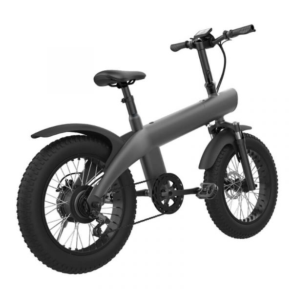 fat tire ebike 750W