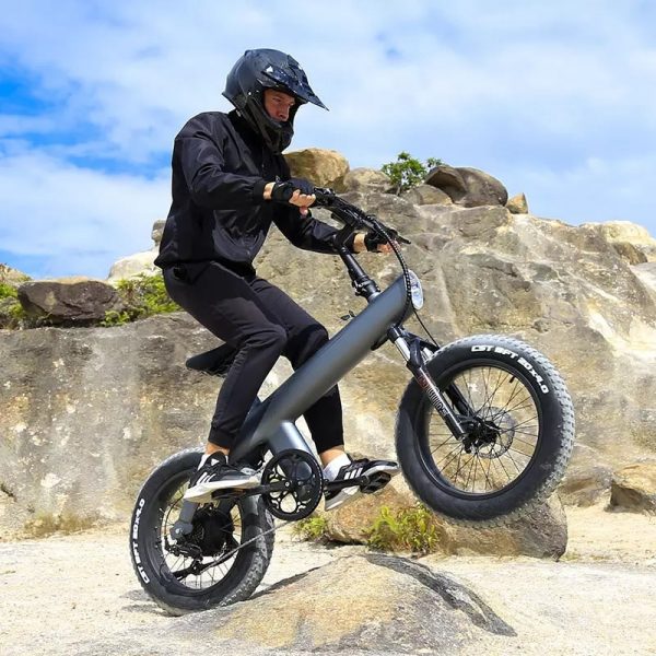 750W Fat tire electric scooter