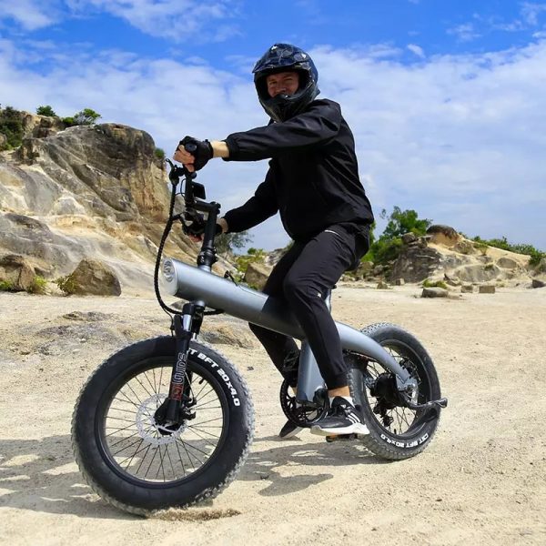 fat tire ebike