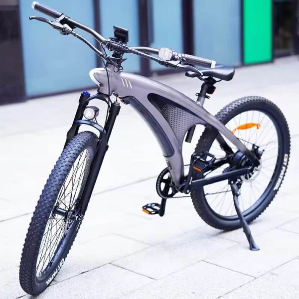 hx electric bike