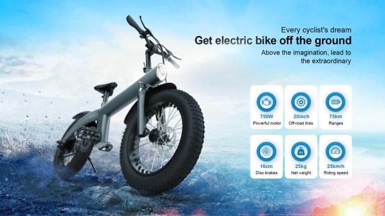 HX ELECTRIC BIKE