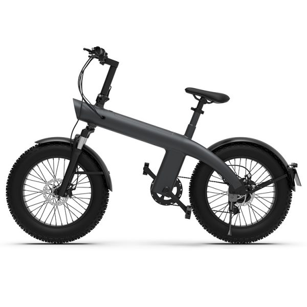 fat tire electric bike