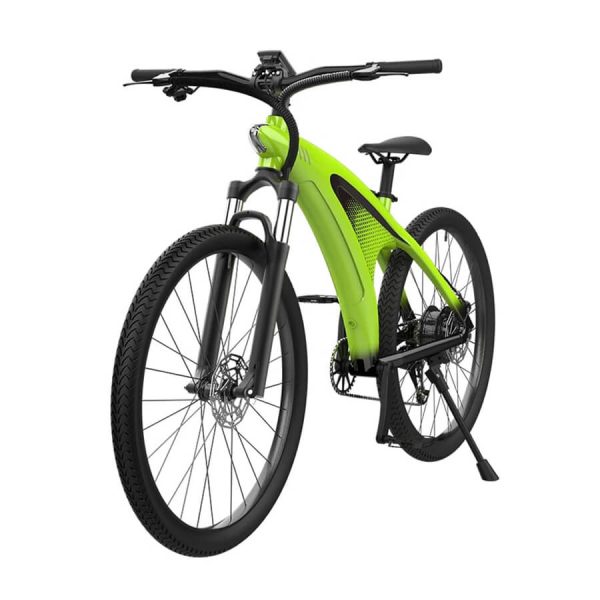 Q5 ebike mountain bike