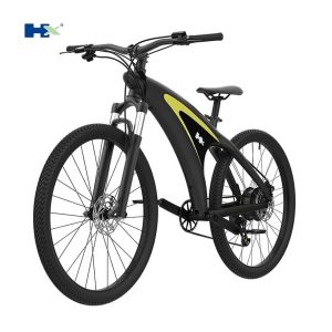 Q5 mountain ebike