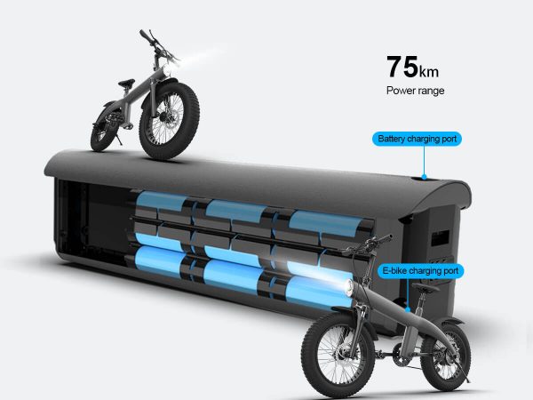 removable battery electric bike